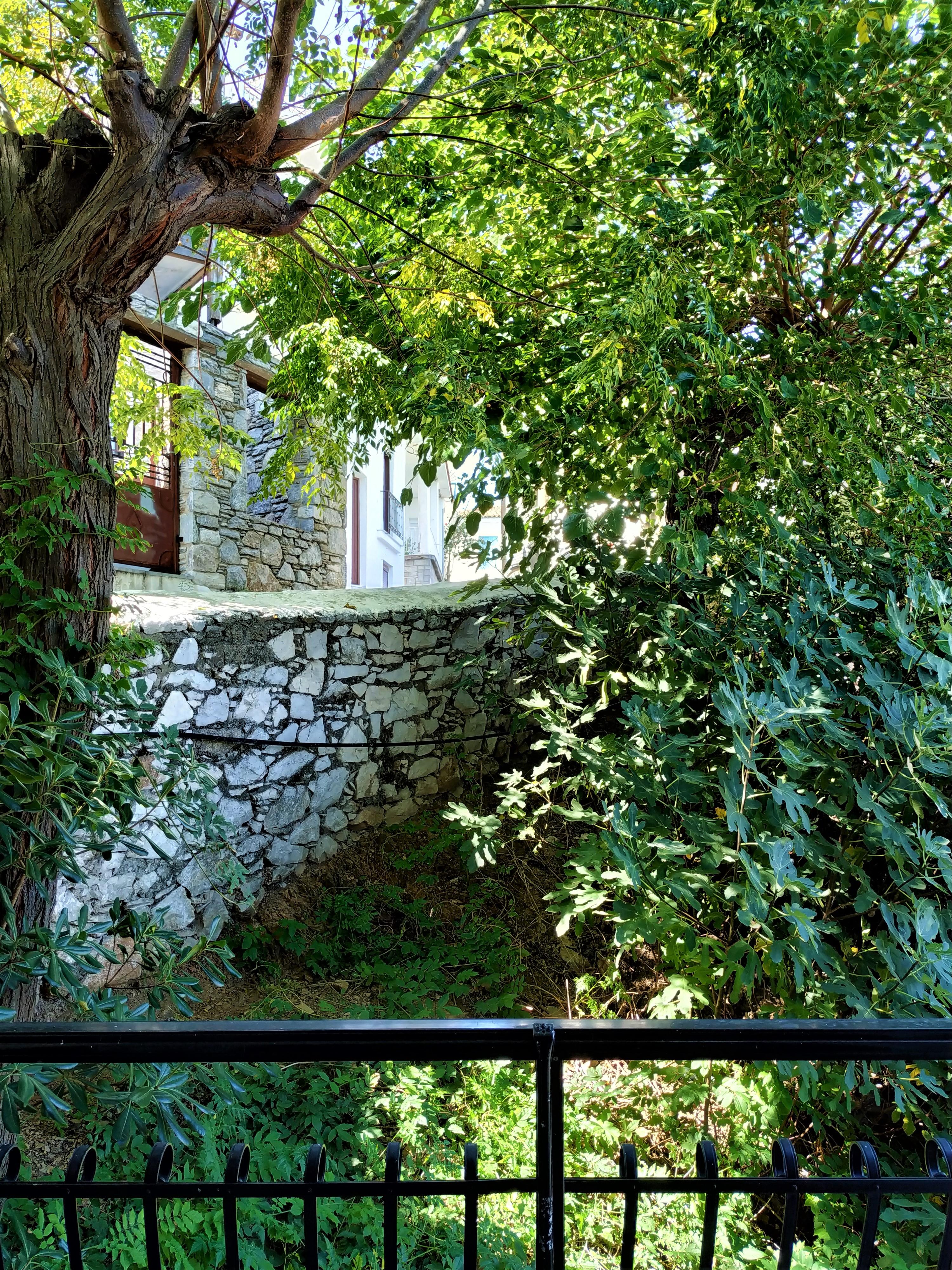 Argo Pension Skiathos Town Ngoại thất bức ảnh